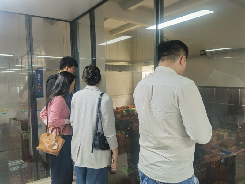 广西五投国际贸易有限公司与合天宝龙的品质之约