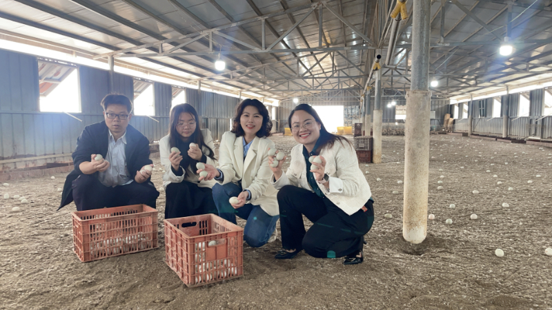 从源头到餐桌|深圳运营中心团队探秘合天宝龙海鸭蛋生态产业链 从源头到餐桌|深圳运营中心团队探秘合天宝龙海鸭蛋生态产业链