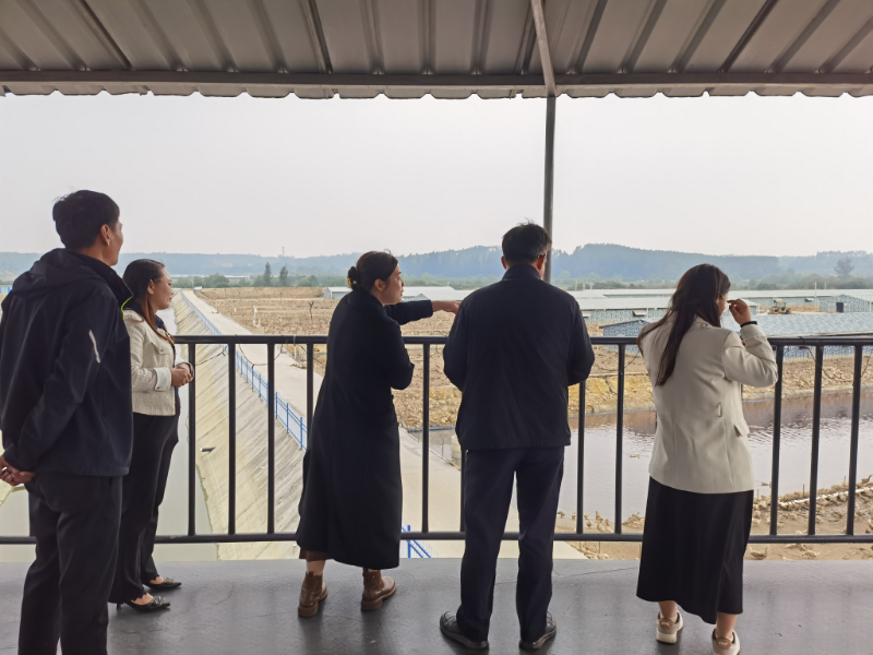 从源头到餐桌|深圳运营中心团队探秘合天宝龙海鸭蛋生态产业链 从源头到餐桌|深圳运营中心团队探秘合天宝龙海鸭蛋生态产业链