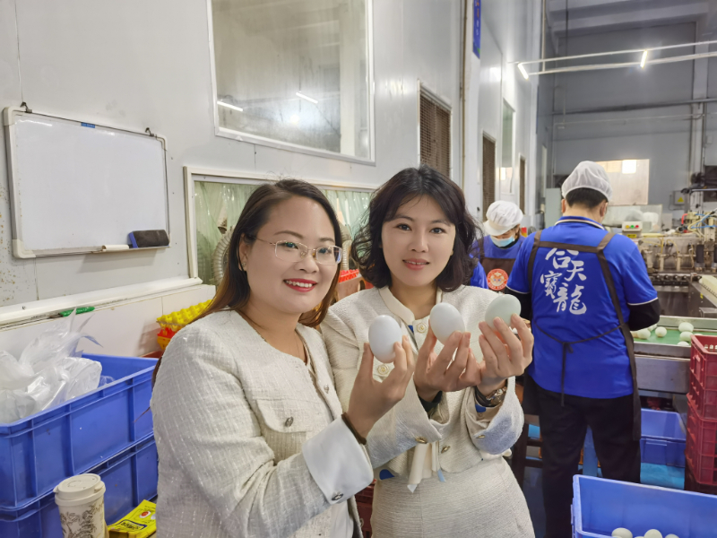 从源头到餐桌|深圳运营中心团队探秘合天宝龙海鸭蛋生态产业链 从源头到餐桌|深圳运营中心团队探秘合天宝龙海鸭蛋生态产业链