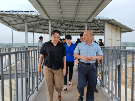 市委常委、常务副市长谭秀洪率队调研合天宝龙海鸭养殖基地