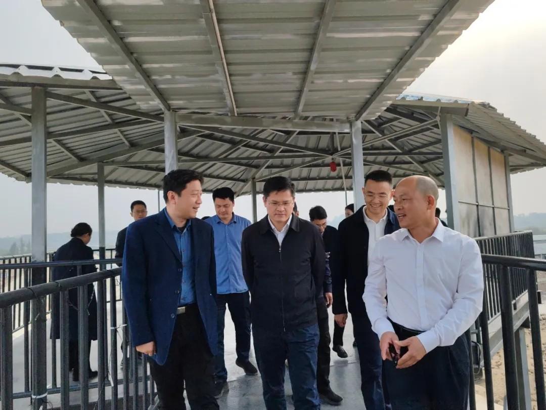 市委常委、副市长麦成柱到我司养殖基地调研海鸭蛋产业发展工作