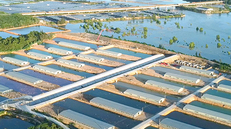 广西合天宝龙食品有限公司