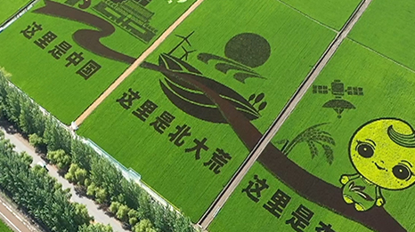 广西合天宝龙食品有限公司