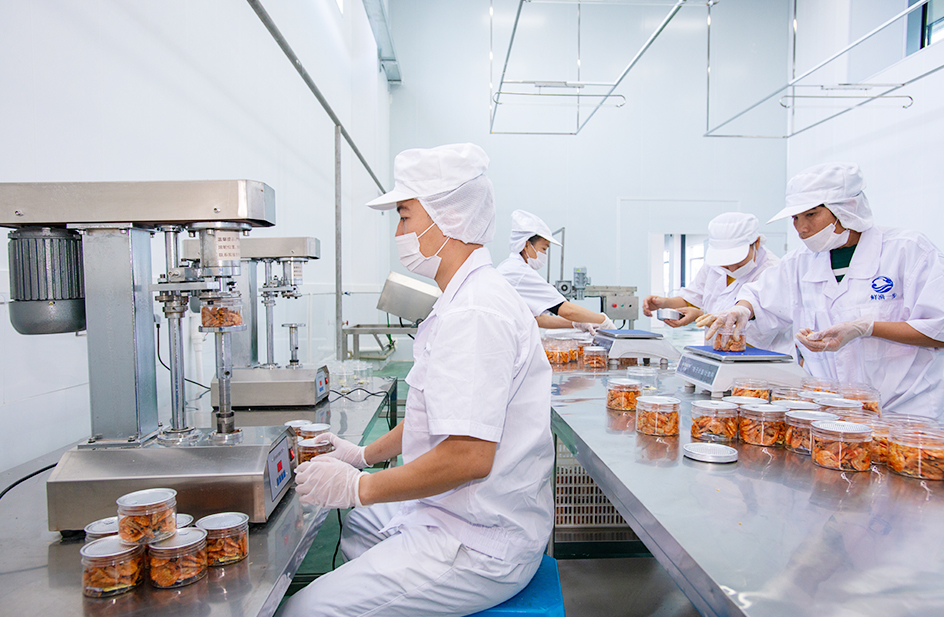 北部湾天然海洋渔场+海鲜加工厂