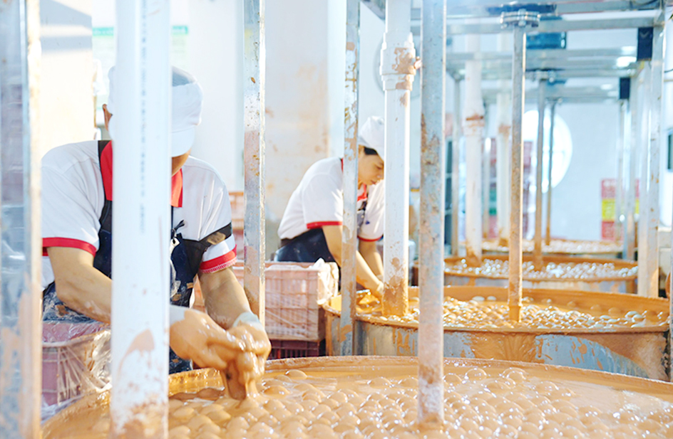 大规模仿原生态养殖基地+海鸭蛋加工厂