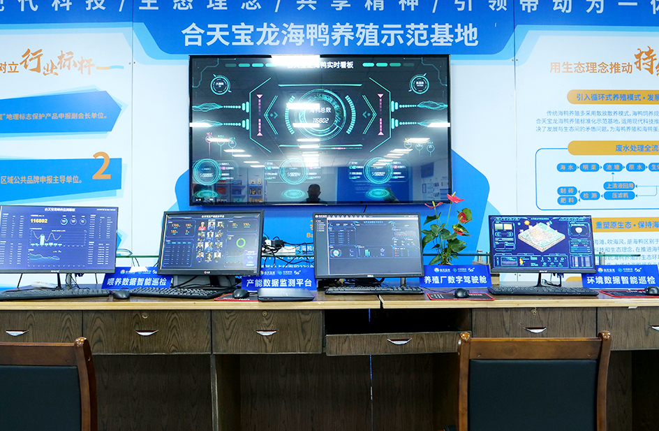 大规模仿原生态养殖基地+海鸭蛋加工厂