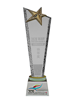 2020年青创杯特等奖