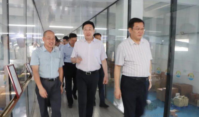 自治区政协副主席何辛幸率自治区政协调研组到合天宝龙调研指导