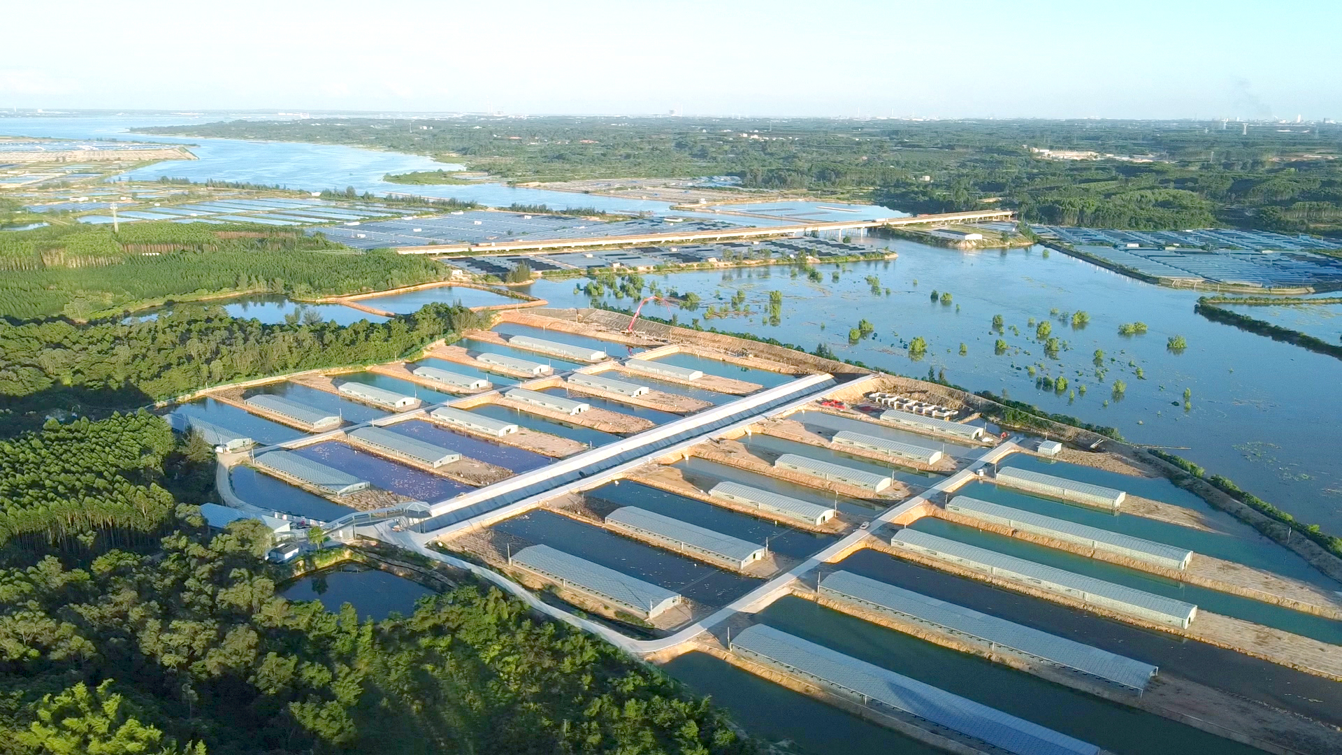 【喜迎二十大】闸口镇：积极发展特色养殖 奋力实现乡村振兴